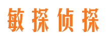 江岸侦探